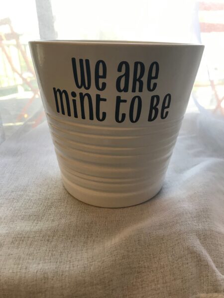 Planter - We are Mint to be