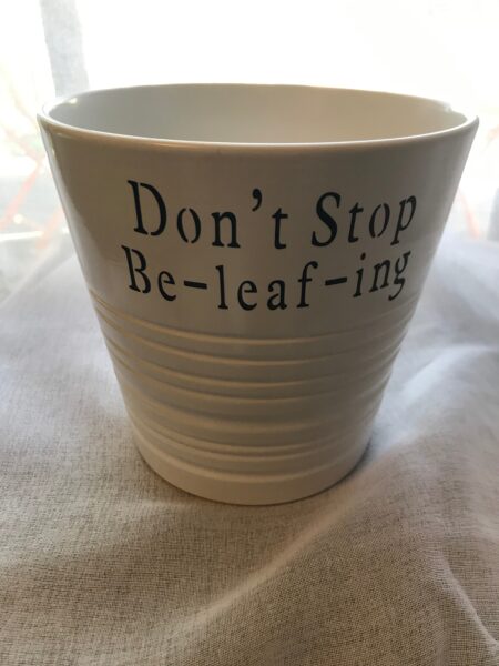 Planter - Don’t Stop Be-leaf-ing