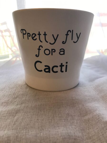 Planter - Pretty fly for a Cacti