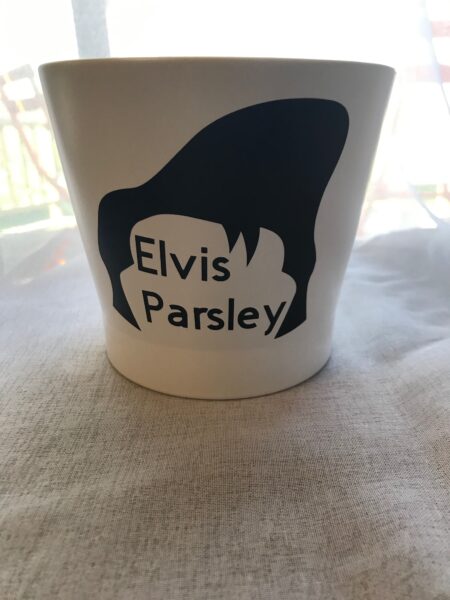 Planter - Elvis Parsley