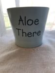 Planter - Aloe There