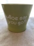 Planter - Aloe can you Go