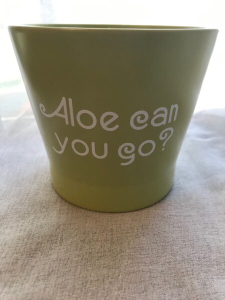 Planter - Aloe can you Go