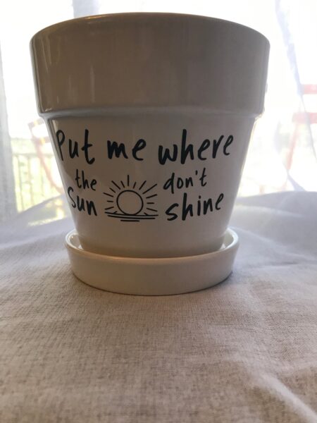 Planter - Put me where the Sun don’t Shine