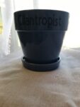 Planter - Cilantropist