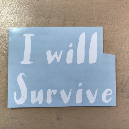 Planter Decal - I will Survive