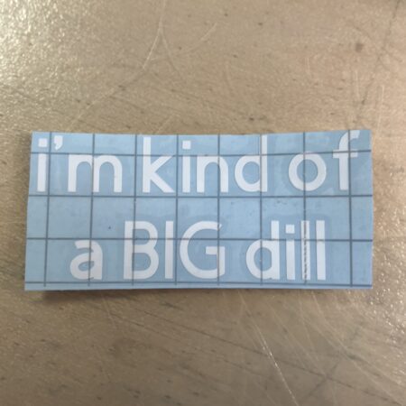 Planter Decal - I’m Kind of a Big dill